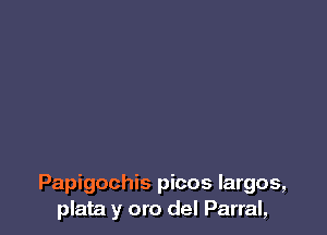 Papigochis picos Iargos,
plata y oro del Parral,