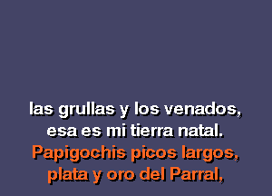 las grullas y los venados,
esa es mi tierra natal.

Papigochis picos Iargos,
plata y oro del Parral,