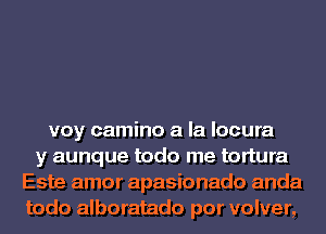 voy camino a la locura
y aunque todo me tortura
Este amor apasionado anda
todo alboratado por volver,