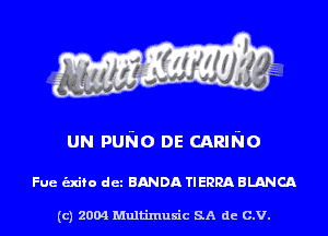 UN purio DE CARING

Fue unto det BANDA TIERRA BLANCA

(c) 2004 Multinlusic SA de C.V.
