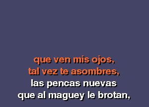 que ven mis ojos,
tal vez te asombres,
las pencas nuevas
que al maguey Ie brotan,