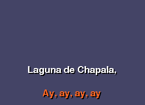 Laguna de Chapala,

Ay, ay, ay, ay