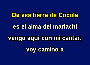 De esa tierra de Cocula

es el alma del mariachi

vengo aqui con mi cantar,

voy camino a