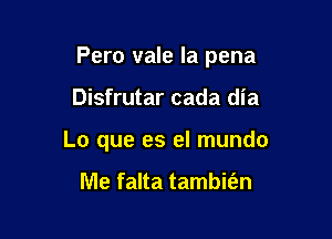 Pero vale la pena

Disfrutar cada dia
Lo que es el mundo

Me falta tambit'an