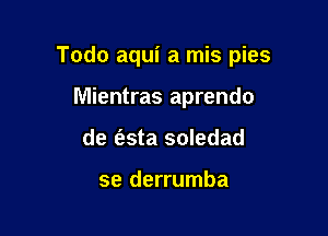 Todo aqui a mis pies

Mientras aprendo
de Eta soledad

se derrumba