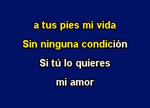 a tus pies mi Vida

Sin ninguna condicic'm

Si to lo quieres

mi amor