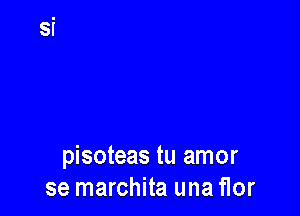 pisoteas tu amor
se marchita una flor