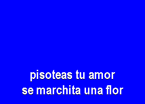 pisoteas tu amor
se marchita una flor