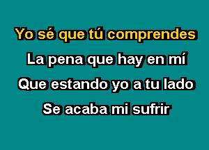 Yo Stiz que tl'J comprendes
La pena que hay en mi
Que estando yo a tu lado

Se acaba mi sufrir