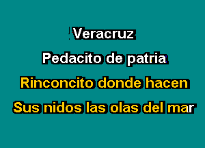 Veracruz

Pedacito de patria

Rinconcito donde hacen

Sus nidos las olas del mar