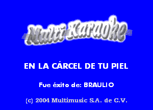 EN LA CARCEL DE TU PIEL

Fuc (Exiio dcz BRAULIO

(c) 2004 Multimuxic SA. de c.v.