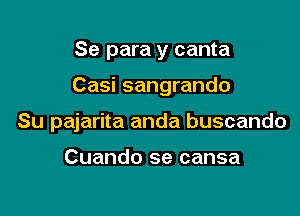 Se para y canta

Casi sangrando

Su pajarita anda buscando

Cuando se cansa