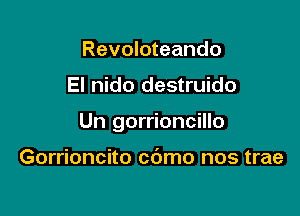 Revoloteando

El nido destruido

Un gorrioncillo

Gorrioncito cdmo nos trae