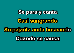 Se para y canta

Casi sangrando

Su pajarita anda buscando

Cuando se cansa