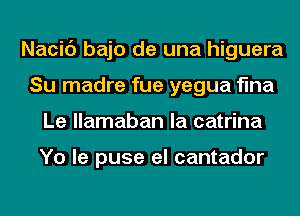 Nacic') bajo de una higuera
Su madre fue yegua flna
Le llamaban la catrina

Yo le puse el cantador