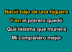 Nacic') bajo de una higuera
Y en el potrero quedc')
Qmiz lastima que muriera

Mi compaflero mejor