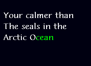Your calmer than
The seals in the

Arctic Ocean