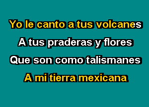 Yo le canto a tus volcanes
A tus praderas y flares
Que son como talismanes

A mi tierra mexicana