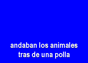 andaban los animales
tras de una polla