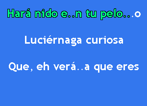 Hara nido en tu pelo...o

Lucwrnaga curiosa

Que, eh vere'I..a que eres