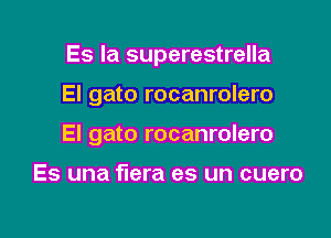 Es Ia superestrella

El gato rocanrolero
El gato rocanrolero

Es una flera es un cuero