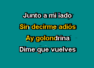 Junto a nii iado
Sin decirmg adids

Ay gglondrina

Dime.r que vuelves