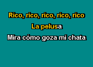 Rico, rico, rico, rico, rico

La pelusa

Mira c6mo goza mi chata