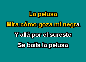 La pelusa

Mira cdmo goza mi negra

Y aM por el sureste

Se baila la pelusa