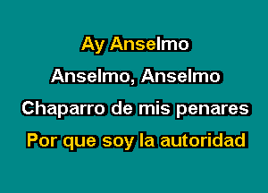 Ay Anselmo

Anselmo, Anselmo

Chaparro de mis penares

Por que soy la autoridad