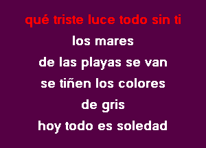 los mares
de las playas se van
se tirien los colores
de gris

hoy todo es soledad