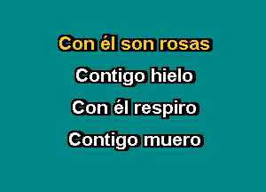 Con (el son rosas

Contigo hielo

Con (al respiro

Contigo muero