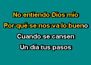 No entiendo Dios mio

Por que'z se nos va lo bueno

Cuando se cansen

Un dia tus pasos
