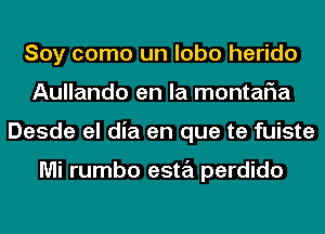 Soy como un lobo herido
Aullando en la montaFIa
Desde el dia en que te fuiste

Mi rumbo esta perdido