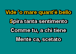 Vide '0 mare quaint?) bello
Spira tanta sentimento
Comme tu, a chi tiene

Mente ca, scetato