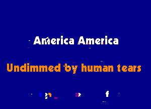-AMcrica America

Undimmed 'by human tears