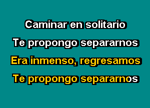 Caminar en solitario
Te propongo separarnos
Era inmenso, regresamos

Te propongo separarnos