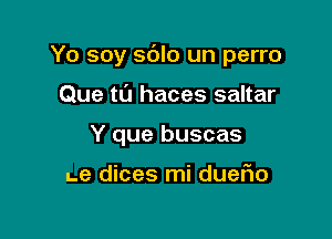 Yo soy sdlo un perro

Que tL'I haces saltar
Y que buscas

Le dices mi duefio