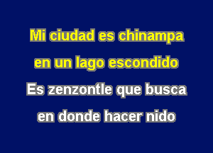 Mi ciudad es chinampa

en un Iago escondido

Es zenzontle que busca

en donde hacer nido