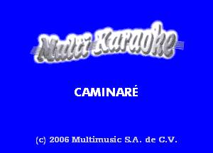 CAMINARE'

(c) 2006 Multimuxic SA. de C.V.