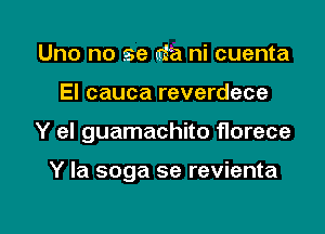 Uno no se da ni cuenta
El cauca reverdece

Y el guamachito florece

Y la soga se revienta