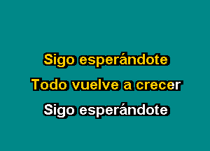 Sigo esperandote

Todo vuelve a crecer

Sigo esperandote