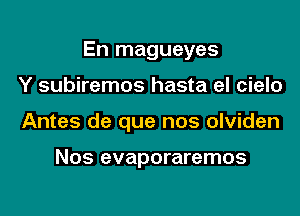 En magueyes

Y subiremos hasta el cielo
Antes de que nos olviden

Nos evaporaremos