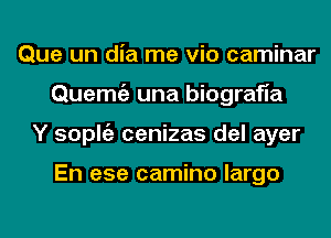 Que un dia me via caminar
Quemtgz una biografia
Y soplgz cenizas del ayer

En ese camino largo