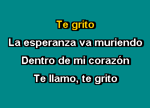 Te grito
La esperanza va muriendo

Dentro de mi corazc'm

Te Ilamo, te grito