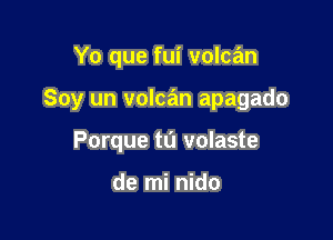 Yo que fui volcan

Soy un volcan apagado

Porque ta volaste

de mi nido