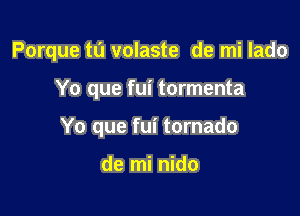 Porque tu volaste de mi lado

Yo que fui tormenta
Yo que fui tornado

de mi nido