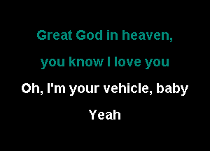 Great God in heaven,

you know I love you

Oh, I'm your vehicle, baby
Yeah
