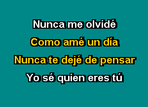 Nunca me olvithg
Como amie un dia

Nunca te dejc'e de pensar

Yo sci) quien eres t0