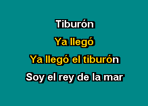 Tiburdn

YaHe96

Ya llegc') el tiburc'm

Soy el rey de la mar