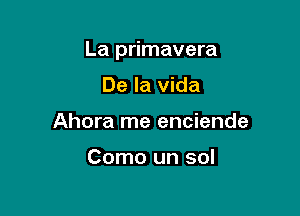 La primavera

De la Vida
Ahora me enciende

Como un sol